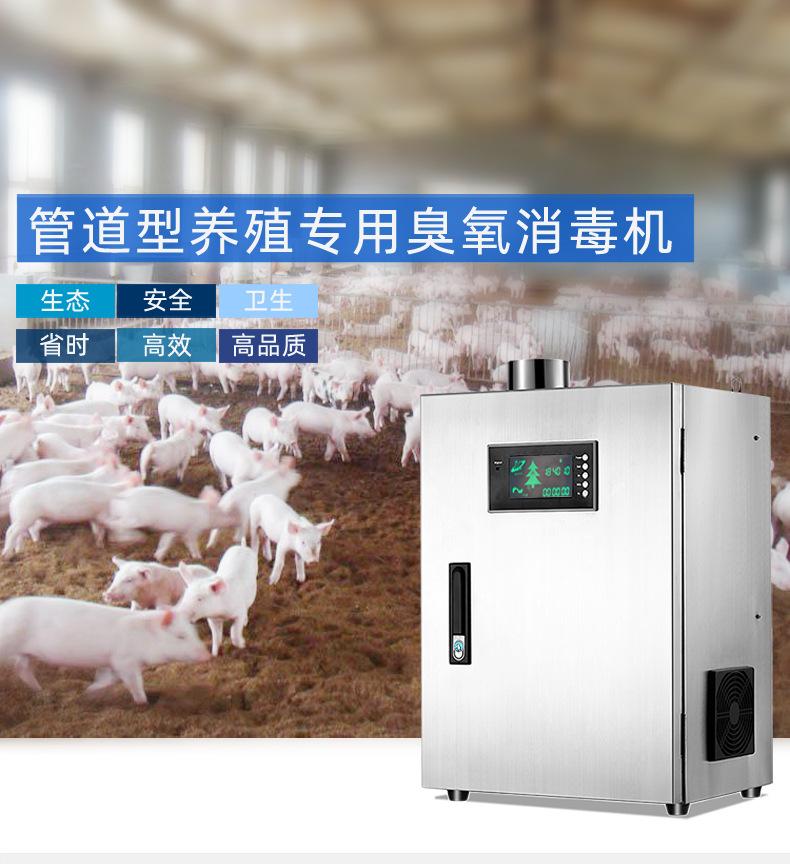 QLC55_01.jpg