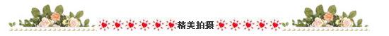 精美拍摄