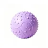 Bola de Yoga de PVC à Prova de Explosão do Fabricante 25cm Bola de Pilates para Treinamento dos Músculos do Assoalho Pélvico e Compressão Abdominal Atacado