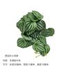 Nova planta verde artificial planta parede paisagem paisagem decoração combinando feixe pequena folha de videira Folha de melancia Begônia folha folha de taro
