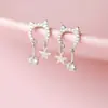 Corea del Sur Dongdaemun Pendientes de Estrella de Circonio Diamante Flash Gato Diseño Nicho Suave Lindo Pendientes Xiao Mao Cara Larga Delgada