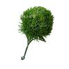 Simulação Cravo Verde simulação planta casa arranjo flor decoração planta verde fotografia ao ar livre adereços vestido de noiva flor