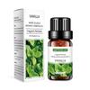 Cross-border 10ml solúvel em água umidificador aromaterapia óleo essencial aromaterapia óleo lavanda rosa aromaterapia óleo essencial fábrica atacado