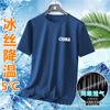 Camiseta de manga curta de secagem rápida de seda gelada de cor sólida de verão para meninos, camiseta casual simples de malha solta, gola redonda, camiseta cinza