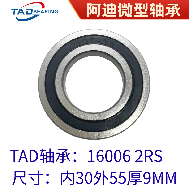 16006 2RS1