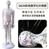 Folha de Cobre para Acupuntura Uso Doméstico Medicina Tradicional Chinesa Silicone Modelo de Diagrama de Meridianos do Corpo Humano com Pontos de Acupuntura
