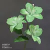 Flor de Simulación Verde Decoración Auditorio de Bodas Material de Flores para Bodas Flor Exterior Planta Verde Belleza Chen Arreglo Sanwei Kwai Mori Ceremonial de Bodas