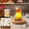 Luz de Noche de Gelatina de Concha de Erizo de Mar Natural Kit de Materiales Hechos a Mano para Bricolaje Adorno Decorativo Regalo para Niños y Novias
