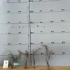 Tocones de Árbol Muerto Ramas Modelo Microscópico Escena Fabricación Suministros para Mascotas Base de Figura Embellecimiento de Fondo Decoración Obstáculo