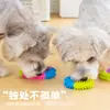 Fabricante Brinquedos para Pets Tpr Anel Espinhoso de Cinco Cores Moagem de Dentes e Limpeza Brinquedo para Cachorro Anel Colorido em Forma de Anel Resistente à Mordida Brinquedo para Cachorro