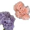 5 Cabeças Lanting Fugui Peônia flor artificial decoração de casa flor falsa flor de mão para casamento Flor de seda feita à mão para guia de estrada atacado