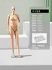 Loja de Roupas com Frete Grátis Modelo Masculino e Feminino Manequim de Corpo Inteiro para Vitrine Modelo de Vestido de Noiva Suporte Expositores Adereços