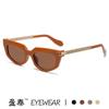 Gafas de sol de cadena transfronterizas nuevas, patillas, ojo de gato, personalidad europea y americana, ins, celebridad de Internet, desfile, toma callejera, gafas de sol versátiles
