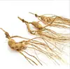 Ginseng Americano Trasplantado del Monte Changbai, Ginseng de Montaña y Ginseng Rojo de Jilin Noreste para Hacer Vino, Sopa y Suplementos para la Salud