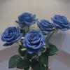 Buquê de Rosas Encaracoladas Hidratantes Simuladas de Alta Qualidade Rosa de Canto de Toque Único Decoração de Casa Atacado Fornecimento Transfronteiriço