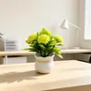 Venta Caliente en Amazon 5 Claveles Flor Artificial Planta en Maceta Estilo Nórdico Ins Decoración para Sala de Estar Dormitorio Flor Falsa Pequeño Bonsái