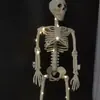 Generación transfronteriza pelo cráneo articulación ajustable Halloween adornos de terror calabaza esqueleto humano 40 90cm esqueleto