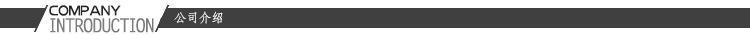 4公司介绍