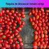 Máquina de descascar a vapor automática de frutas cereja máquina de descascar frutas e vegetais de caqui crocante de tomate máquina de descascar batata doce