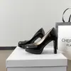 Sapatos de salto alto femininos estilo stiletto, bico redondo, de calçar, estilo retrô francês, com plataforma, sapatos de salto alto single modernos e elegantes, sapatos de salto alto para festa