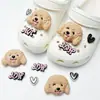 Buraco sapatos acessórios de alta qualidade ervilhas sapatos sapatos flor decorativo fivela diy acessórios jóias chinelos fivela removível sapato fivela