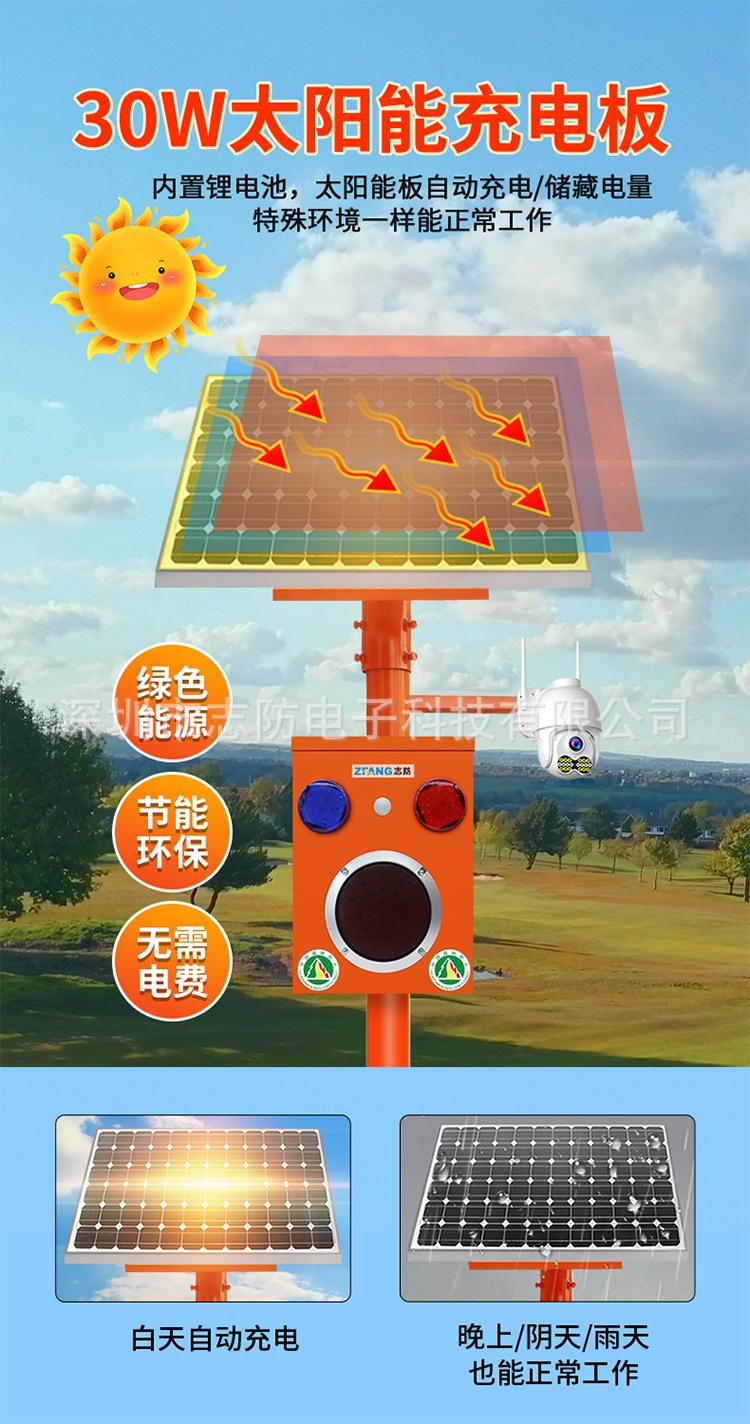 详情页 (3).png