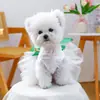PETCIRCLE Ropa para Mascotas Perros Pequeños Cachorros Mascotas Lindas Malla Multicapa Falda Abullonada Falda de Gasa Trébol de Cuatro Hojas