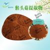 Polisacárido de hongo melena de mono 50% extracto de hongo melena de mono polvo de hongo melena de mono Xi'an Ruilin biológico en stock suministro