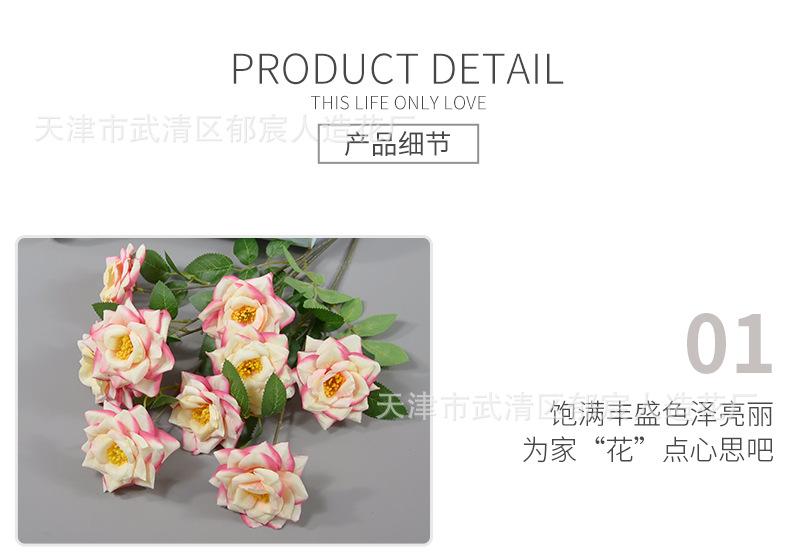 详情_09.png