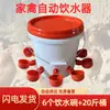 Bebedero Automático para Pollos y Patos Alimentador de Agua para Aves de Corral Pollo Uso Doméstico Alimentador de Pollos Comedero de Agua Integrado