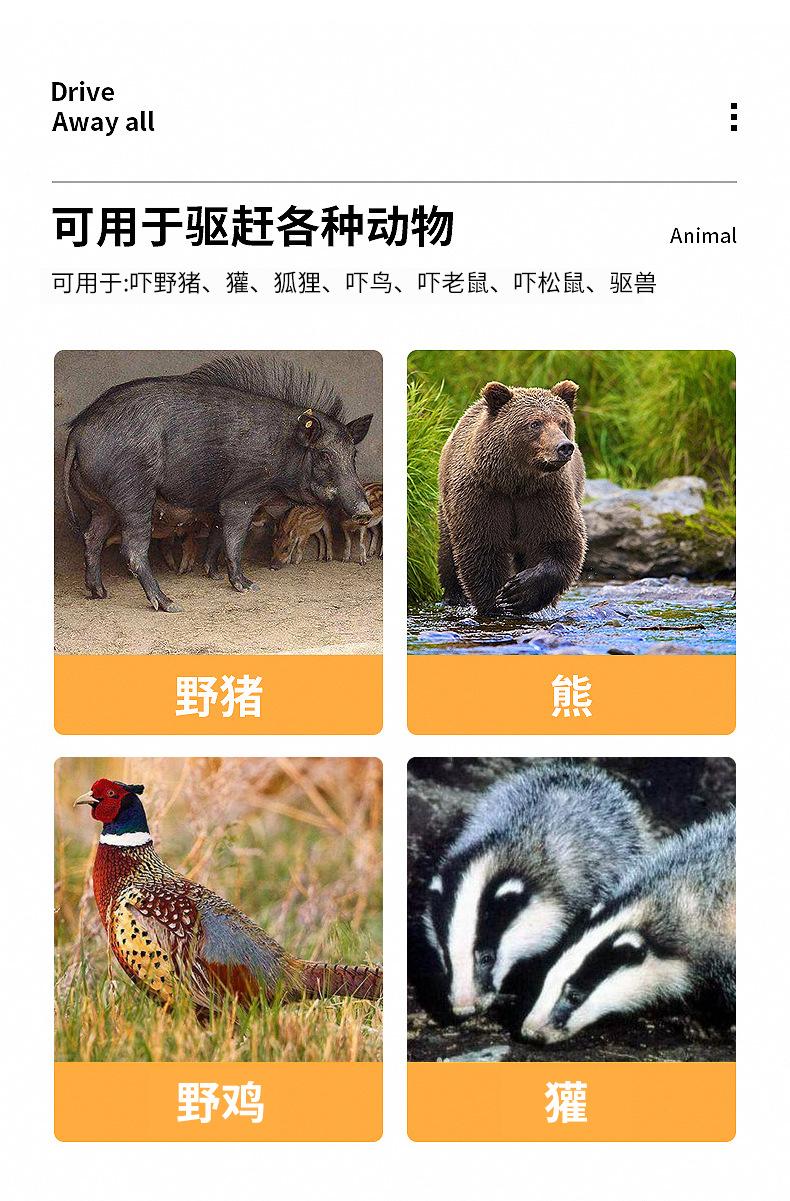 详情页_04.jpg