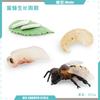 Simulación abeja sólida Araña mariposa unicornio ciempiés insecto animal modelo juguete para niños adornos de mesa de arena