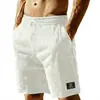 Shorts Esportivos Masculinos de Veludo Listrado Estilo Americano para Verão Amazon Transfronteiriço Calças Casuais Simples para Praia e Basquete
