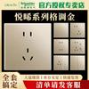 Schneider Electric Interruptor Enchufe Serie Yuexi Dorado Panel Grande Sin Marco Cinco Orificios con Toma de Corriente USB
