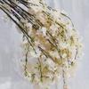 Simulación de flores de cerezo. Ramas colgantes individuales de flores de cerezo. Adornos para sala de estar. Decoración. Flores de ciruelo. Flores de durazno. Tela de seda. Flores secas. Flores artificiales.