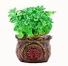 Planta en Maceta con un Toque de Fragancia, Planta Verde con Aroma Fuerte para Sala de Estar, Balcón, Repelente de Mosquitos, Repelente de Insectos, Suculenta con Aroma, con Tierra para Macetas