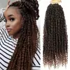 Explosão de perucas transfronteiriças Cabelo de crochê Boho Passion Twist fibra química cabelo de crochê de seda alta temperatura