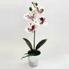 Orquídea Phalaenopsis Artificial Planta en Maceta de 4 Flores Set Adorno Decorativo para Sala de Estar Decoración de Planta en Maceta de Orquídea Phalaenopsis Planta Artificial