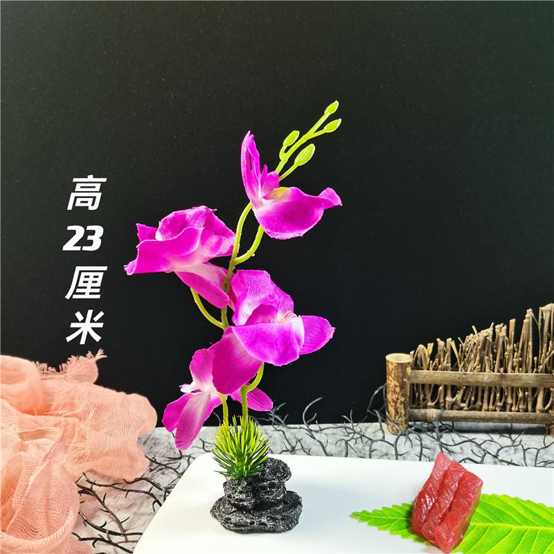 QQ图片20210817123141