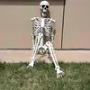 Adornos de Marco de Calavera de Halloween Esqueleto de Simulación Cámara de Fábrica Sitio de Casa Embrujada Set de Accesorios Venta al por Mayor Amazon