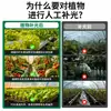 Luz de Cultivo LED de Espectro Completo para Invernadero, Verduras, Flores, Plantas Verdes de Interior, Lámpara Especial Imitación Sol para Crecimiento de Jardín