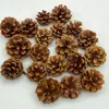 Hoja de flor seca espécimen madera de otoño hoja de árbol flor seca combinación anillo creación foto pintura decoración accesorios retro