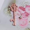 Chave de Abertura de Garrafas Quente Transfronteiriça 23 Chave de Ouro Rosa Presente de Casamento de Feriado
