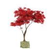 Plántulas de Arce Rojo, Arce Rojo Japonés Rojo de Cuatro Estaciones, Bonsái Red Dancer, Árbol Grande en Maceta, Planta para Enverdecer el Patio, Arce Rojo de Tres Estaciones