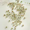 Accesorios de Cerámica de Jingdezhen Cuentas Sueltas de 8 mm Estudiante Mujer diy Bolsa de Material Casero Cuentas para Pulsera Color Caramelo Estudiante Mujer