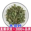 Hojas de Dolichopodium Hojas de Dolichopodium Frijoles Guanyin Frijoles de Tres Hojas Materiales de Soya Al por Mayor Gran Favorablemente