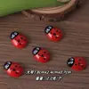 Paisaje en Miniatura de Venta Caliente Transfronterizo Mariquita Escarabajo DIY Animal de Dibujos Animados Accesorios de Joyería de Resina Material para Colgante