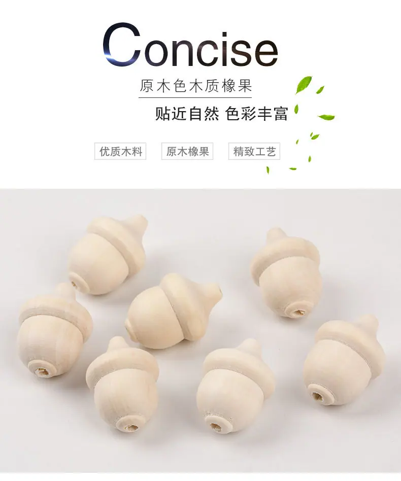 打孔木橡果_01.jpg