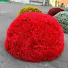 Decoración de Tapa de Alcantarilla de Planta Verde para Exteriores Bola de Planta Verde Planta Verde Simulada Bola de Hierba de Pino y Ciprés Bola de Hierba de Milán