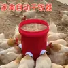 Alimento para Pollo Pato Alimentador Automático Avicultura Alimentador Automático Cubo de Alimento Alimentador para Palomas Comedero Equipo Agrícola Suministros